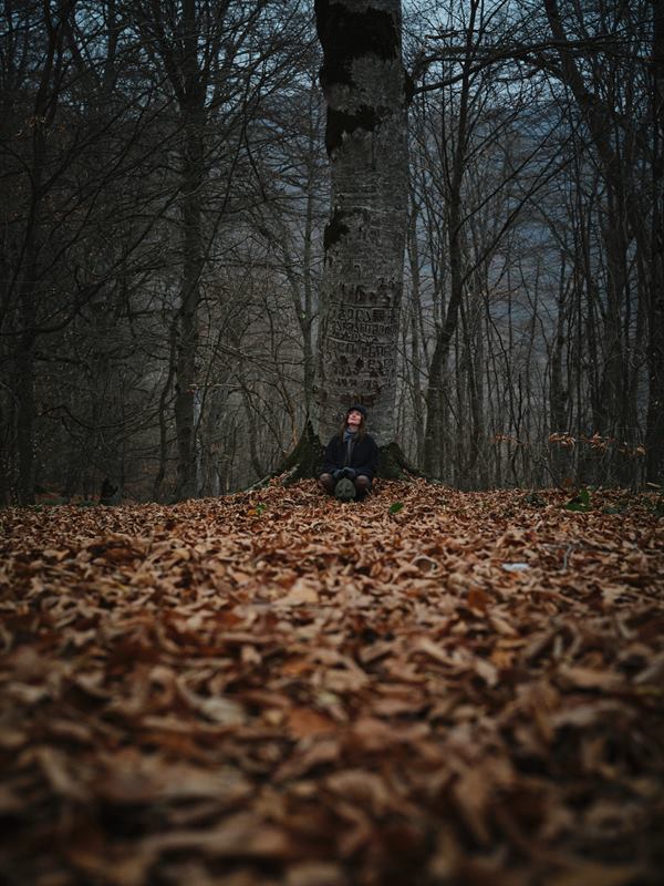 A figure sitting at the foot of a tree on a forest floor of fallen leaves