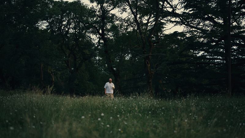 A small figure in white crossing a meadow at the edge of a wood