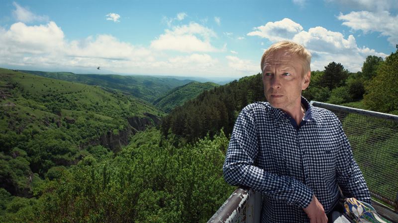 A man leaning on a railing above a wooded gorge