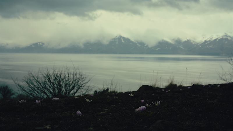 Snow-covered peaks behind a still lake under low cloud