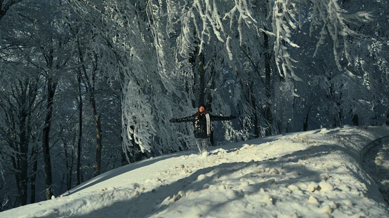 A person standing with arms wide on a snowy road under frozen trees