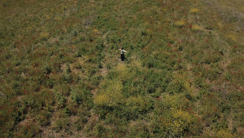 A single figure standing in the middle of an overgrown field